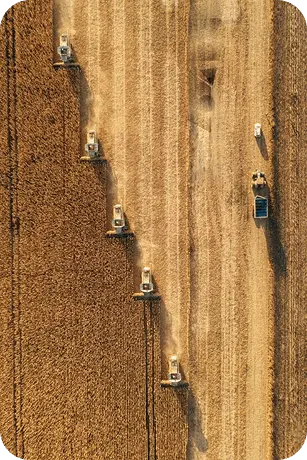 Advantageous geographical location 